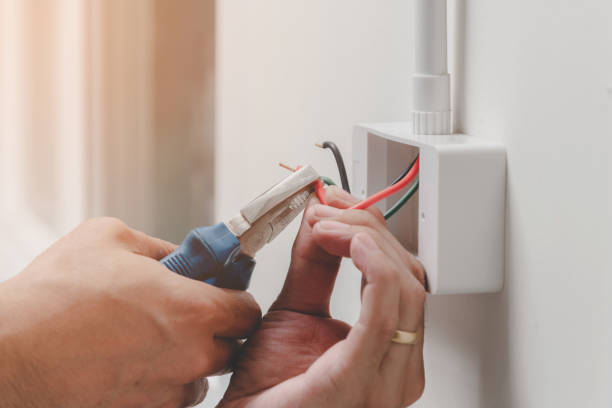 Best Electrical Panel Upgrades  in Oneonta, NY